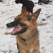 Blanding af racer Morgan