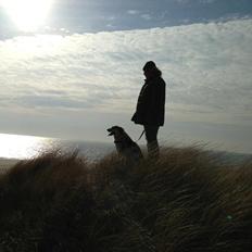 Blanding af racer Beli (solgt)