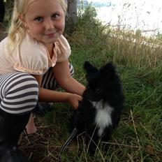 Blanding af racer Coda