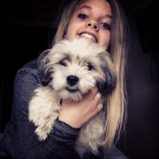 Malteser Molly <3