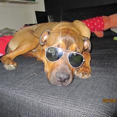 Blanding af racer ( bob ) marley