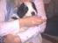 Landseer Borgmosegaards Frej, Poseidon - 4-5 uger gammel