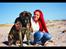 Mastiff Hugedogges Philipa