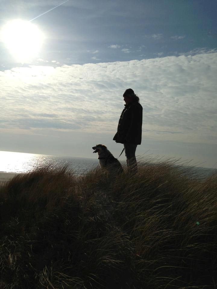 Blanding af racer Beli (solgt) - Velkommen til Beli's profil :) billede 1