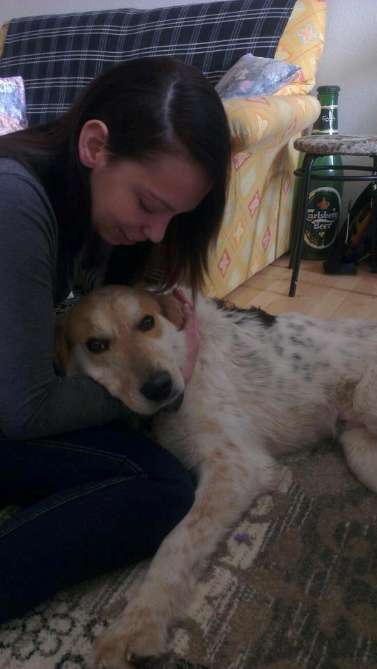 Blanding af racer Beli (solgt) - Hyggebillede :) dagen efter vi fik ham hjem :) billede 11