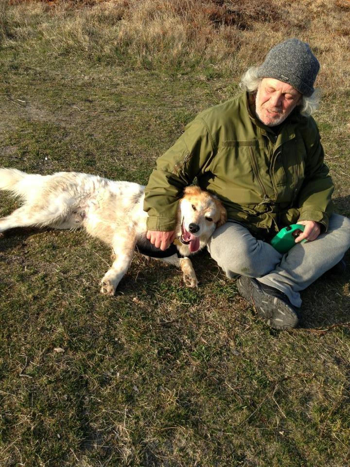 Blanding af racer Beli (solgt) - Pause på vej hjem fra stranden :) billede 17