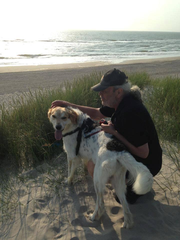 Blanding af racer Beli (solgt) - Lige kommet ned til stranden :) billede 19