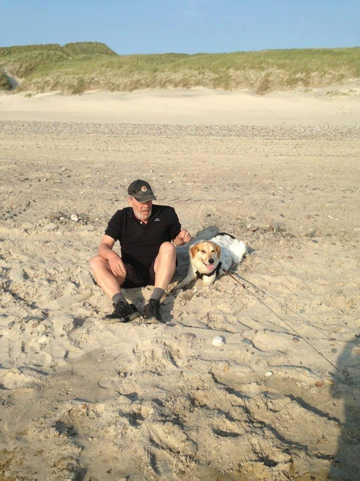 Blanding af racer Beli (solgt) billede 21