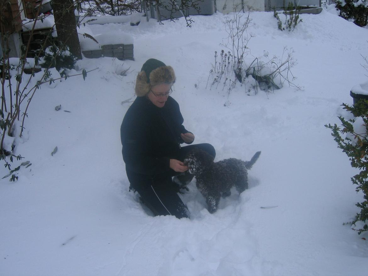 Lagotto romagnolo Chilli, Angeli mia billede 9