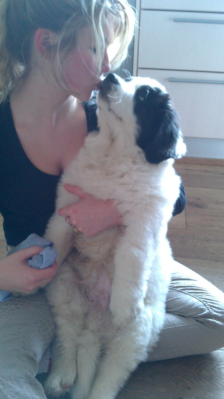 Landseer Borgmosegaards Frej, Poseidon billede 7