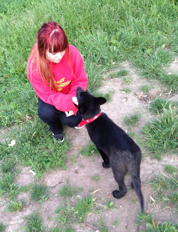 Blanding af racer Kira billede 24