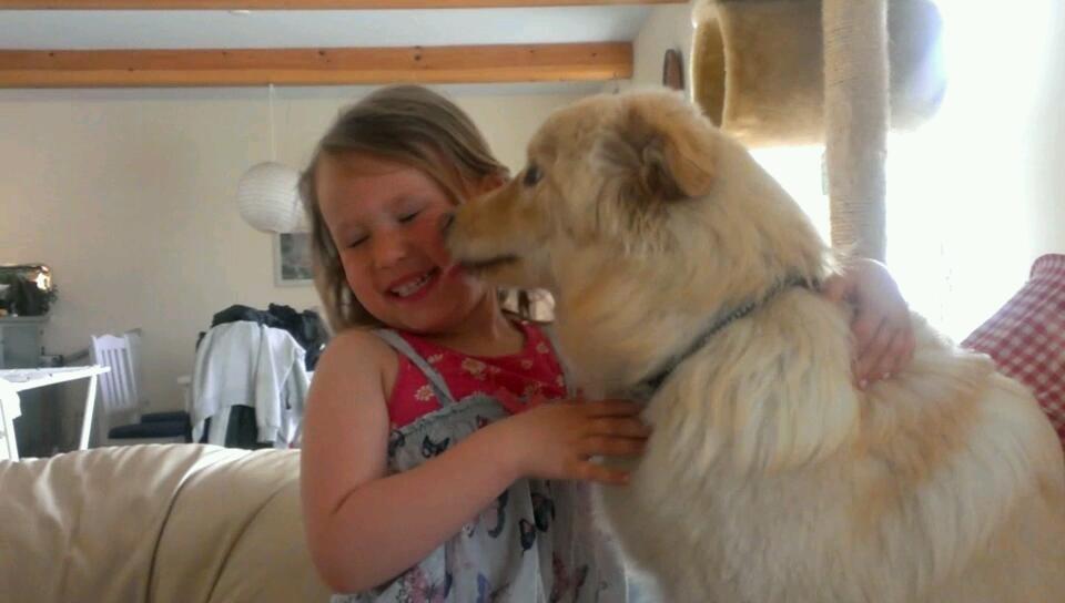 Finsk lapphund Bella - Vores datter Josefine er meget glad for Bella og det er helt sikkert gengældt! billede 21