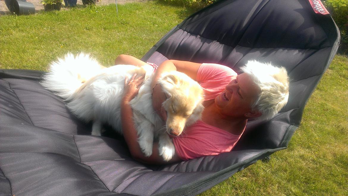 Finsk lapphund Bella - De mennesker Bella kan lide, har hun også fuld tillid til. Her hygger hun med vores nabo i hendes fat-boy hængekøje :) billede 32
