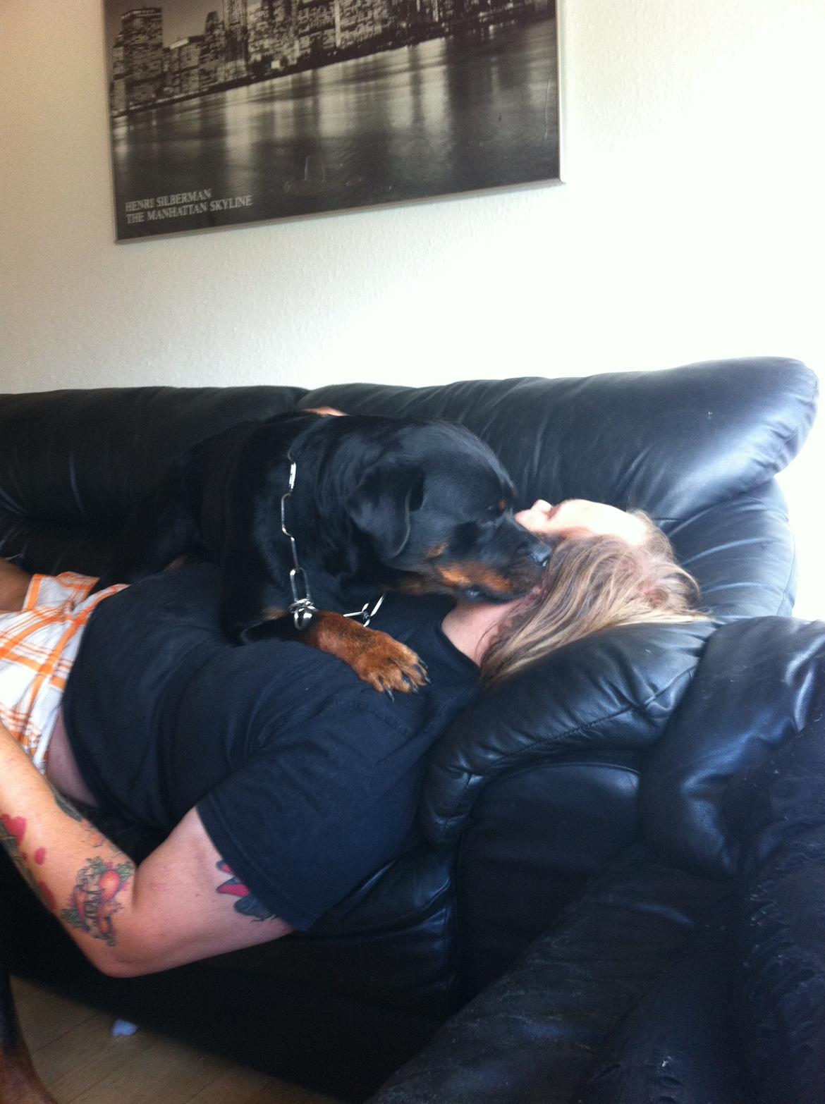 Rottweiler Vom Hause Wenorra Latoya billede 7