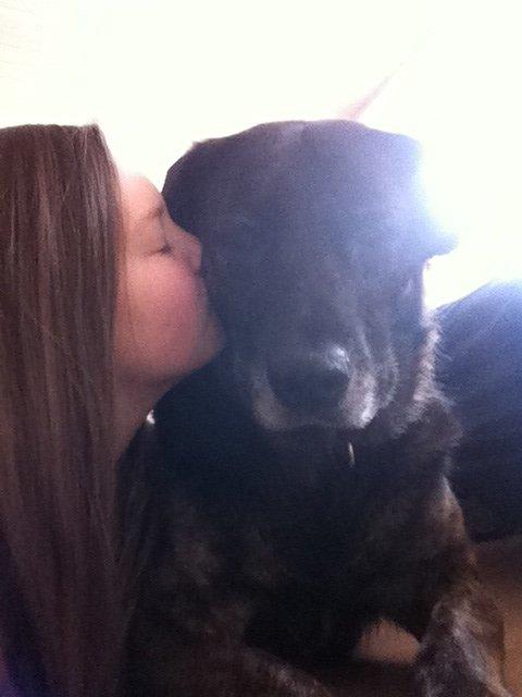 Blanding af racer Mille billede 4