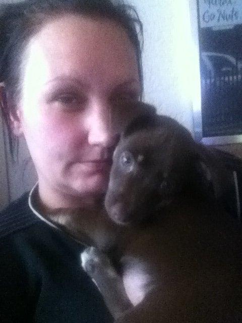 Blanding af racer Bailey  billede 4