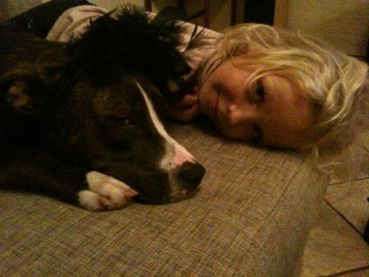 Amerikansk staffordshire terrier Pixie billede 14