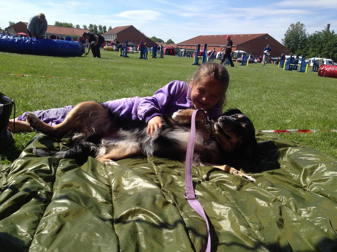 Blanding af racer Merci 6 år <3 billede 22