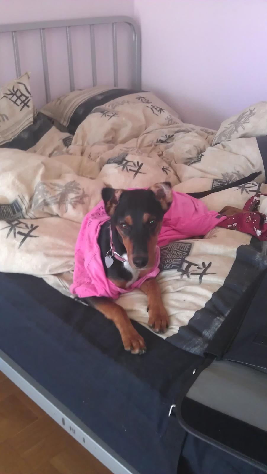 Blanding af racer Nalah billede 25