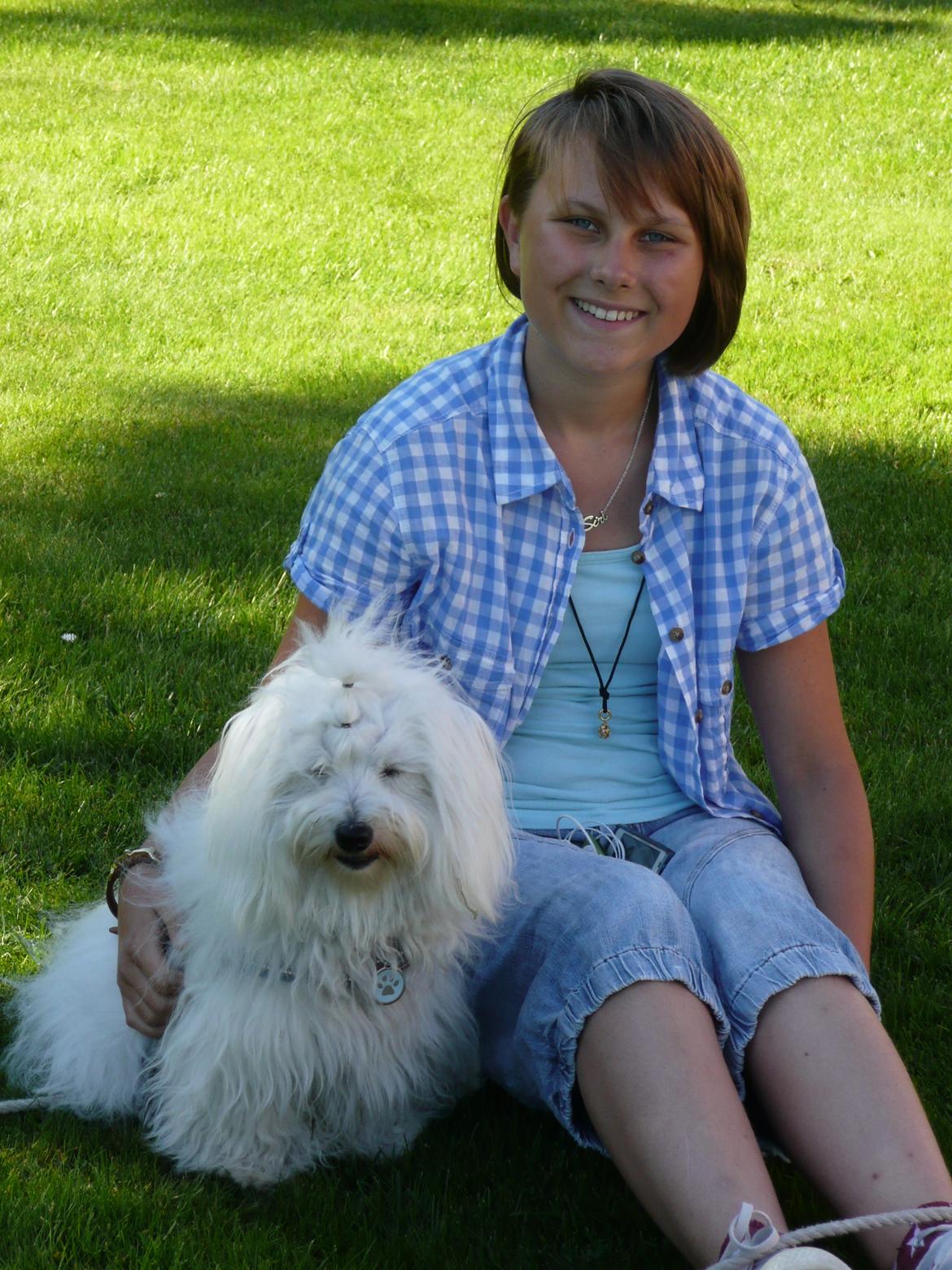 Coton de tulear Charlie - Lige vågnet efter vi har sovet udenfor, så det er grunden til f.eks. hvordan mit hår ser ud ;) billede 10