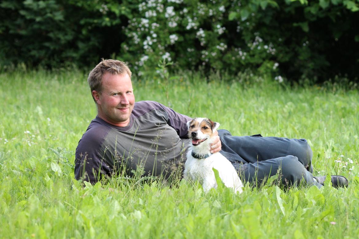 Jack russell terrier Milo billede 5