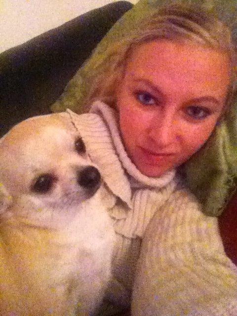 Chihuahua Pudselykke Bang-on Isis *DKK* billede 18