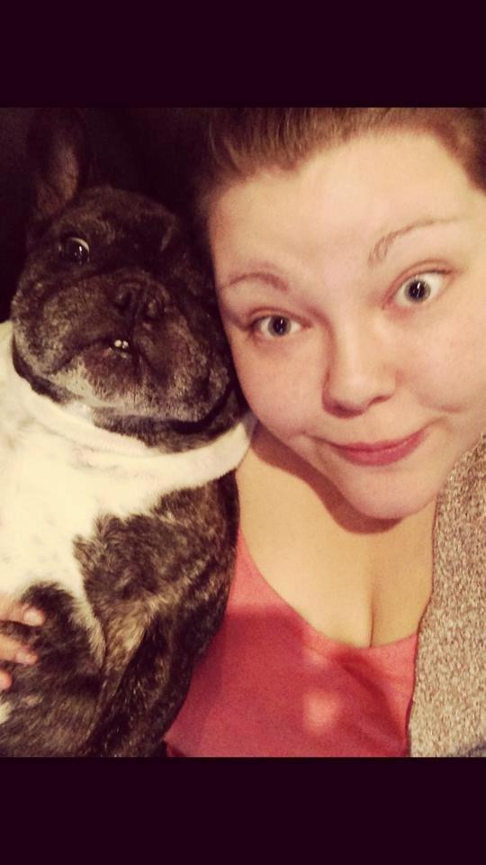 Fransk bulldog Robin billede 11