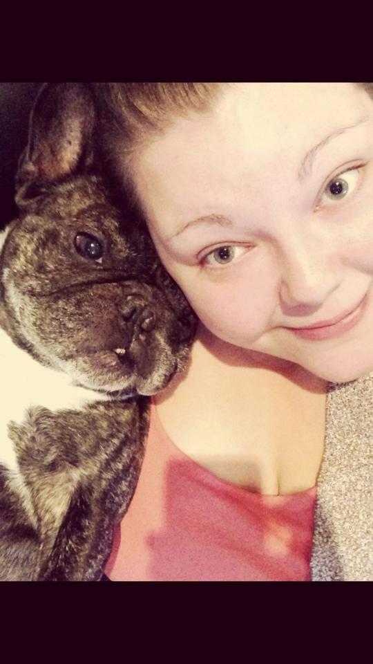 Fransk bulldog Robin billede 15