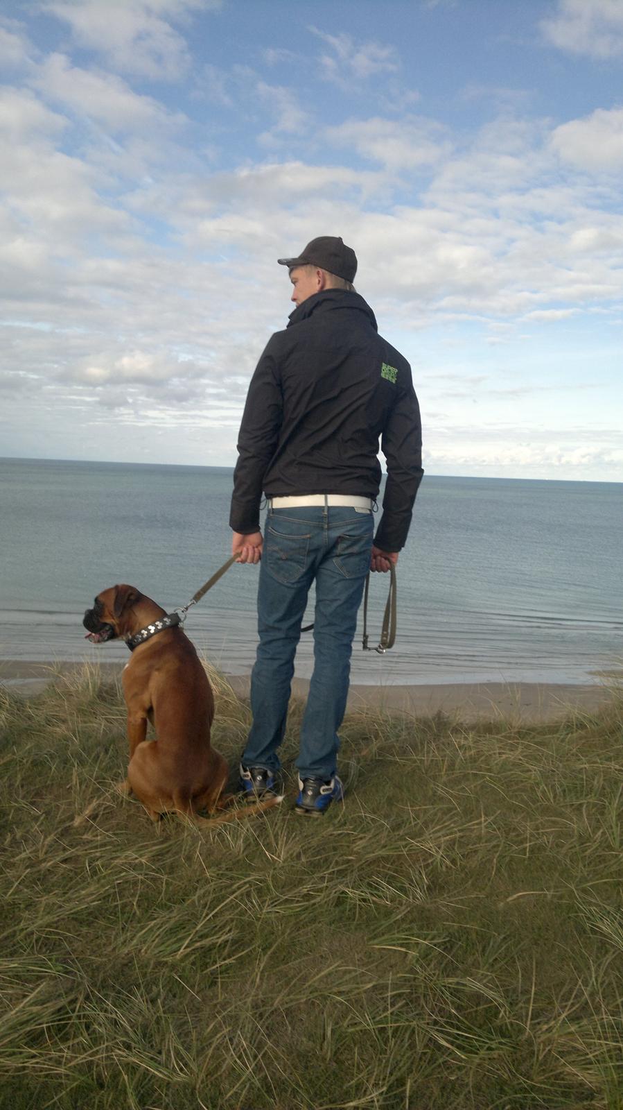 Boxer Mickey billede 2