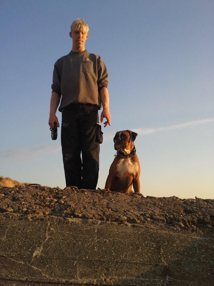 Boxer Mickey billede 9