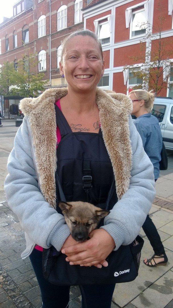 Västgötaspids Gaia R. I. P - Vi er til kultur night i Fredericia billede 15