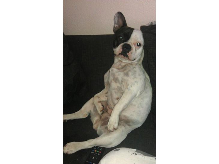 {{currentPhoto.altText}} billede {{currentPhoto.number}}