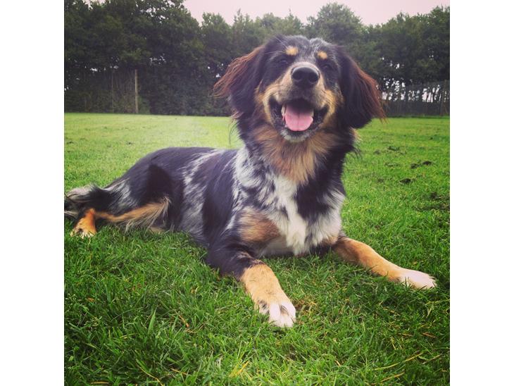 {{currentPhoto.altText}} billede {{currentPhoto.number}}