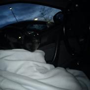 Blanding af racer Sofus