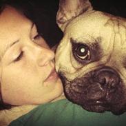 Fransk bulldog Milo <3
