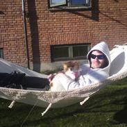 Blanding af racer Minnie