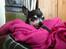 Chihuahua Dyrlægegårdens Alf <333 - Seje Laffe!