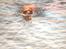 Nova scotia duck tolling retriever Millle