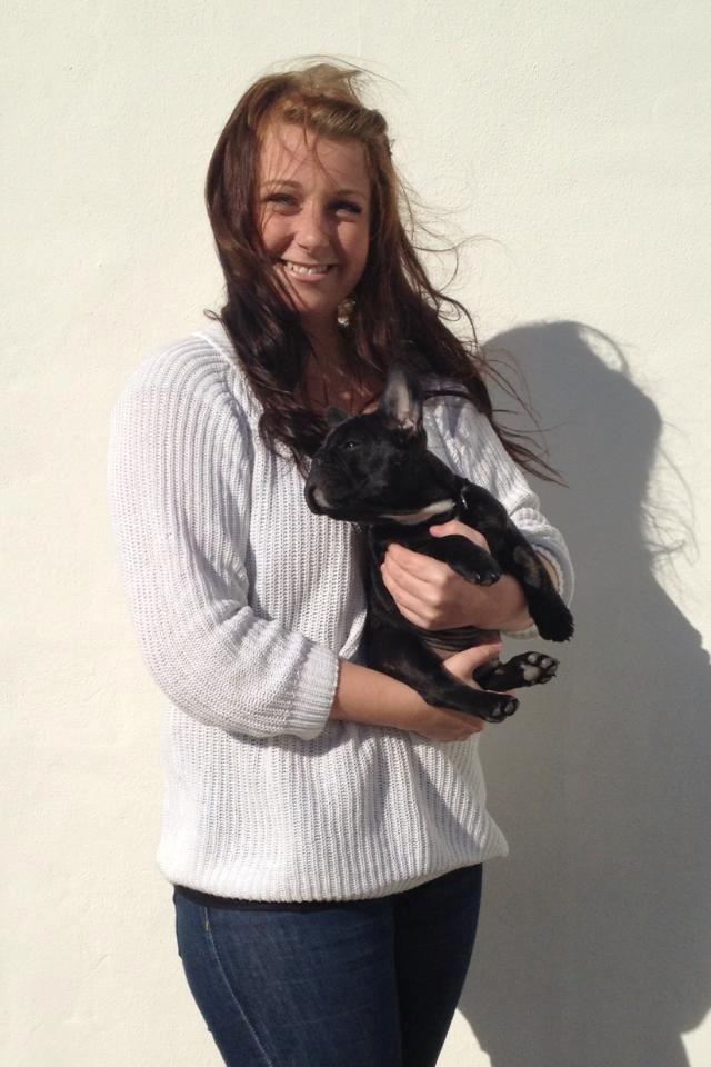 Fransk bulldog Humphrey Bogart billede 17