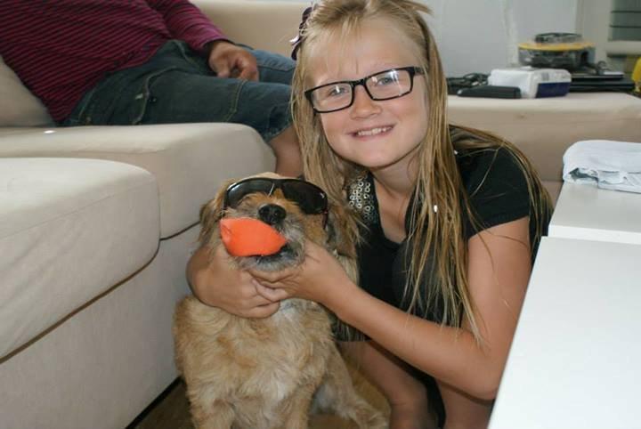 Cairn terrier Cæsar - på besøg hos kusinen billede 1