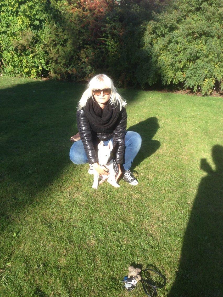 Bullterrier Sode's Sejr  billede 9