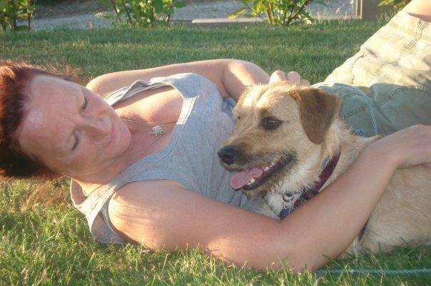 Cairn terrier Cæsar - i haven med mor billede 8