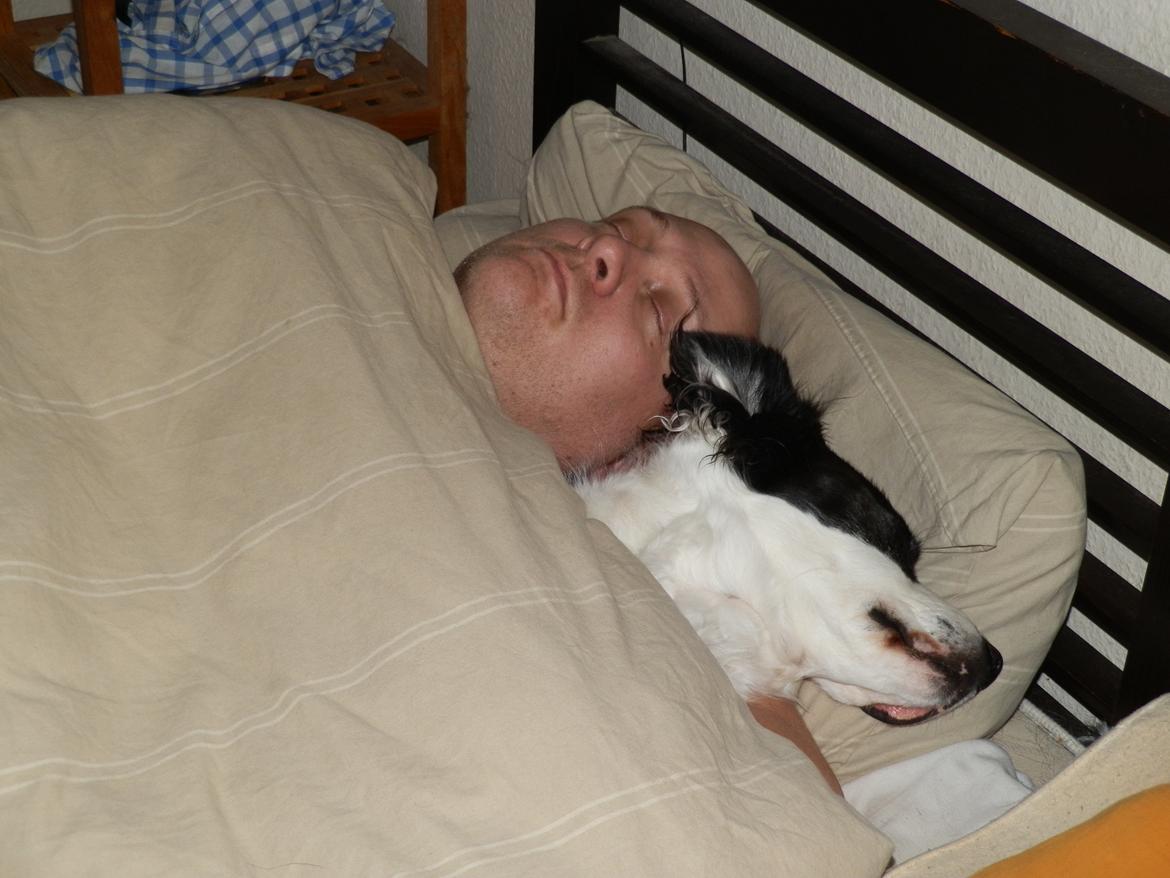 Blanding af racer Chips - ZZZZZZZZZZZZ  
13.09.13 billede 21