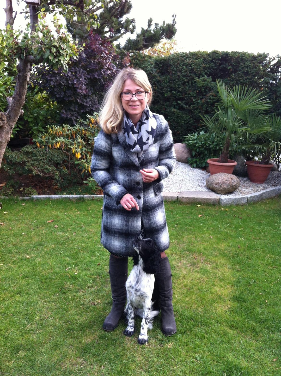 Engelsk springer spaniel Keira billede 6