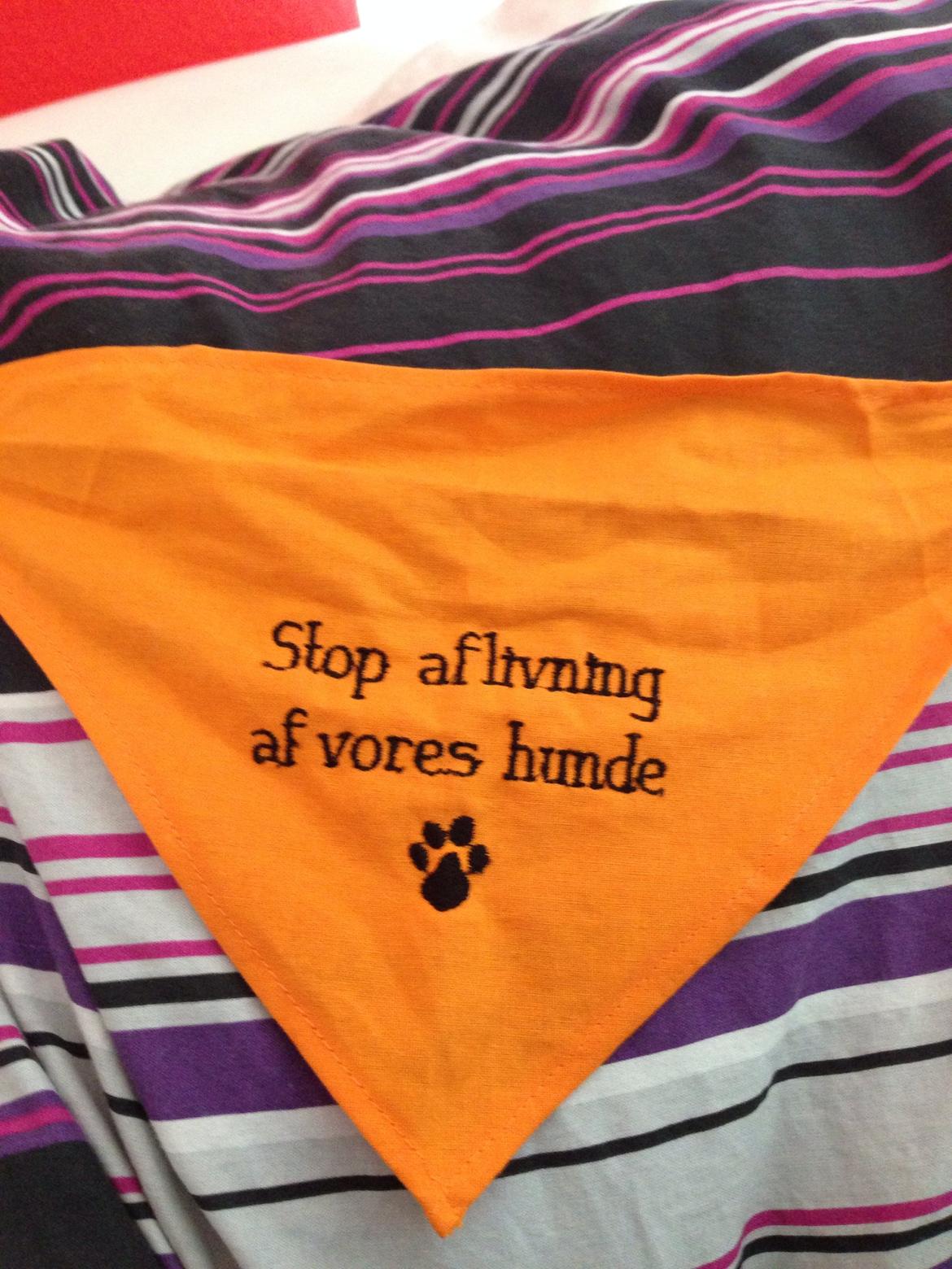 Blanding af racer Diva 3mdr gammel:-) billede 11