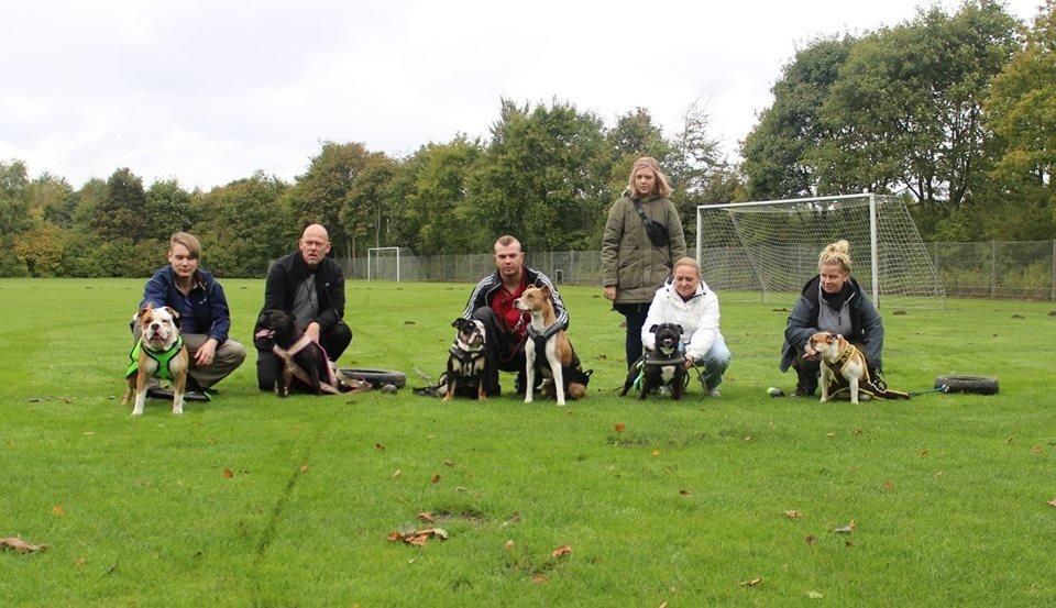 Blanding af racer William billede 25