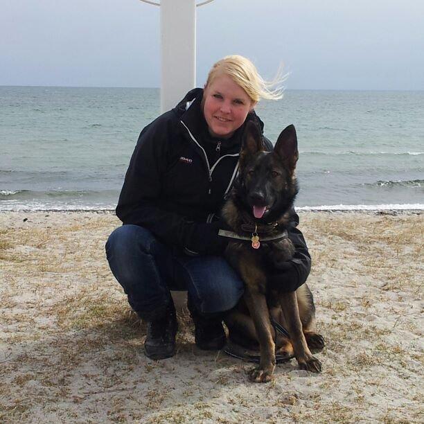 Schæferhund Cutulus Liva billede 21