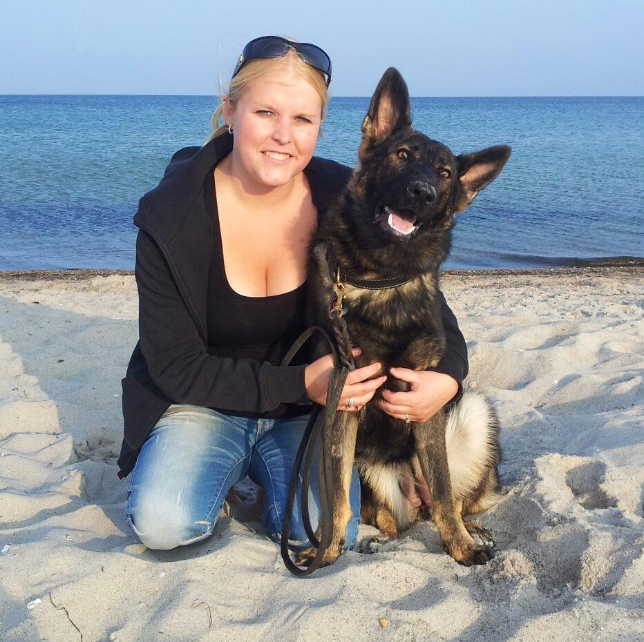 Schæferhund Cutulus Liva billede 22