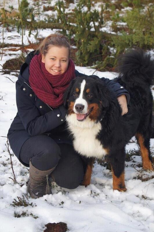 Berner sennenhund Rocky Queen Elsa *Cody* billede 11
