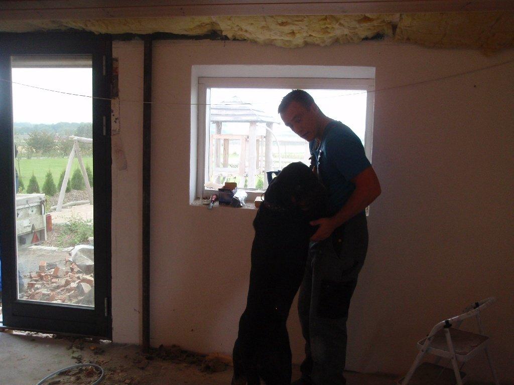 Rottweiler Zonar billede 9